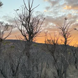 Entabeni Game Reserve - Bela-Bela