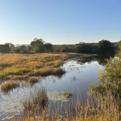 Entabeni Game Reserve - Bela-Bela