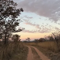 Entabeni Game Reserve - Bela-Bela