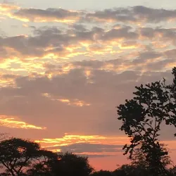 Modimolle (Nylstroom) - Bela-Bela