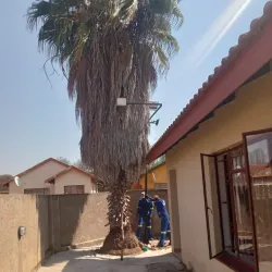 Modimolle (Nylstroom) - Bela-Bela