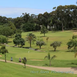 Bellville Golf Club - Bellville