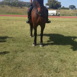 Bellville Velodrome - Bellville