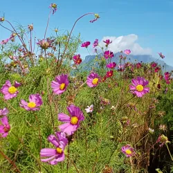 Parow Golf Club - Bellville