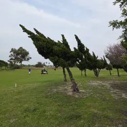 Parow Golf Club - Bellville