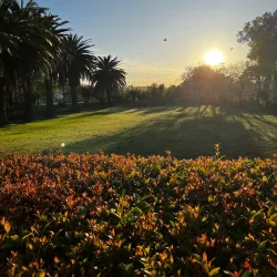 Parow Golf Club - Bellville