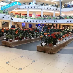 Tyger Valley Shopping Centre - Bellville