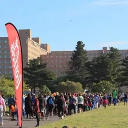 Tygerberg Hospital - Bellville