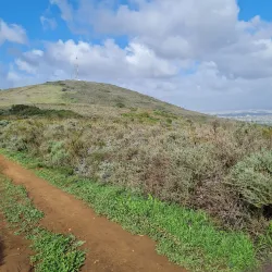 Tygerberg Nature Reserve - Bellville