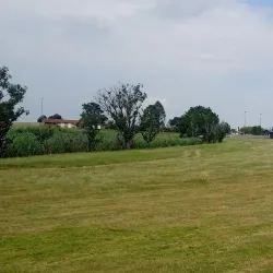 Bethal Golf Club - Bethal