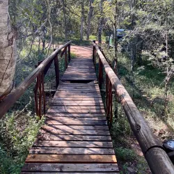 Loskop Dam Nature Reserve - Bethal