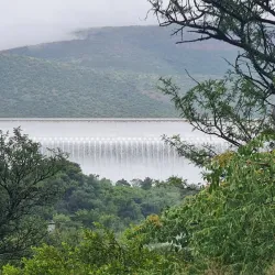 Loskop Dam Nature Reserve - Bethal