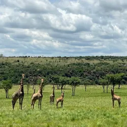 Vaalbank Nature Reserve - Bethal