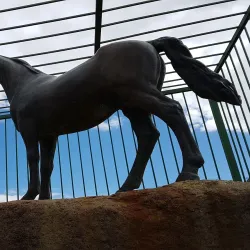 Bethulie Town Hall - Bethulie