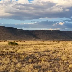 Gariep Nature Reserve - Bethulie