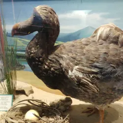 East London Museum - Bhisho