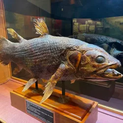 East London Museum - Bhisho