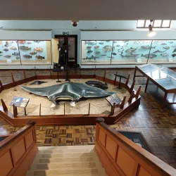 East London Museum - Bhisho