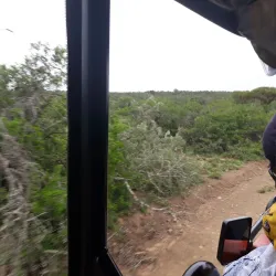 Great Fish River Nature Reserve - Bhisho