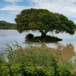 Great Fish River Nature Reserve - Bhisho