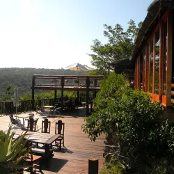 Inkwenkwezi Private Game Reserve - Bhisho