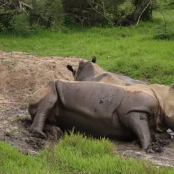 Inkwenkwezi Private Game Reserve - Bhisho