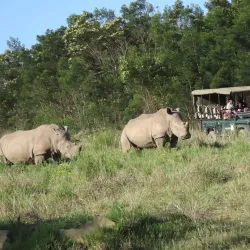Inkwenkwezi Private Game Reserve - Bhisho
