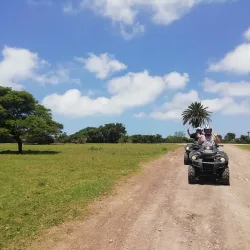 Inkwenkwezi Private Game Reserve - Bhisho