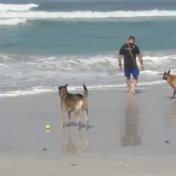 Big Bay Beach - Bloubergstrand (Blaauwberg)