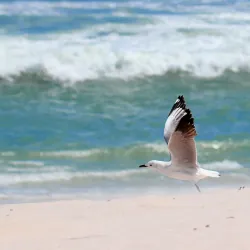 Blouberg Beach - Bloubergstrand (Blaauwberg)