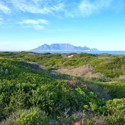 Blouberg Nature Reserve - Bloubergstrand (Blaauwberg)