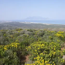 Blouberg Nature Reserve - Bloubergstrand (Blaauwberg)
