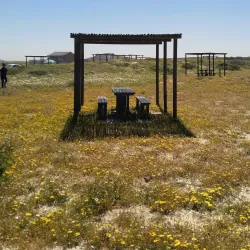 Blouberg Nature Reserve - Bloubergstrand (Blaauwberg)