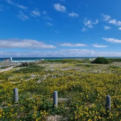 Blouberg Nature Reserve - Bloubergstrand (Blaauwberg)
