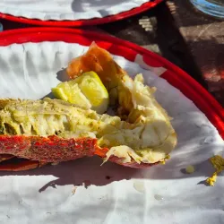 Die Strandloper Beach Restaurant - Bloubergstrand (Blaauwberg)