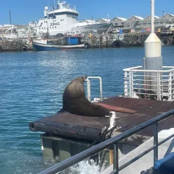 Robben Island Ferry Terminal - Bloubergstrand (Blaauwberg)