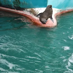 Robben Island Ferry Terminal - Bloubergstrand (Blaauwberg)