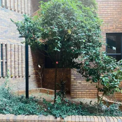 Kempton Park Civic Centre - Bonaero Park