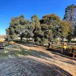 Kempton Park Golf Club - Bonaero Park