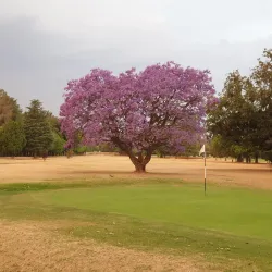 Kempton Park Golf Club - Bonaero Park