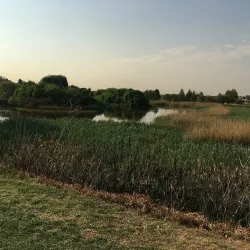 Kempton Park Golf Club - Bonaero Park