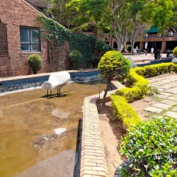 Kempton Park Library - Bonaero Park