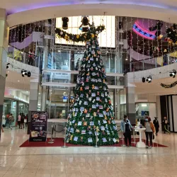 Cape Gate Shopping Centre - Brackenfell