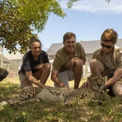 Cheetah Outreach - Brackenfell