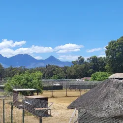 Cheetah Outreach - Brackenfell