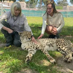 Cheetah Outreach - Brackenfell
