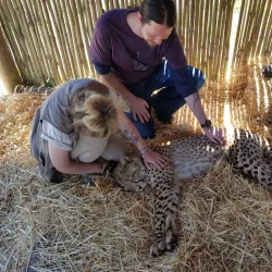 Cheetah Outreach - Brackenfell