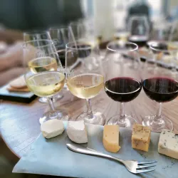 Durbanville Wine Route - Brackenfell