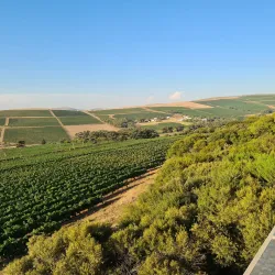 Durbanville Wine Route - Brackenfell