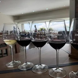 Durbanville Wine Route - Brackenfell